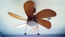 Ceiling Fans With Lights vs Without: Which Is Better?